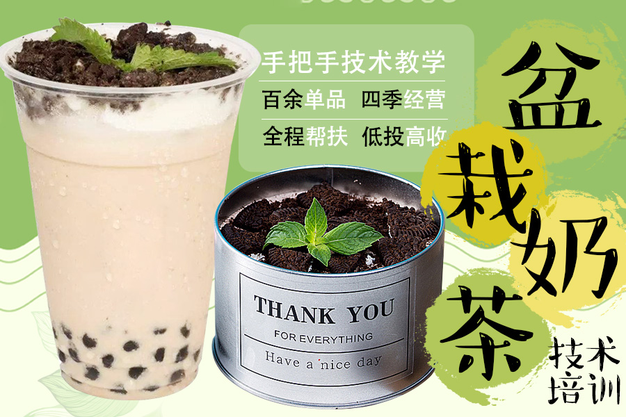 盆栽奶茶